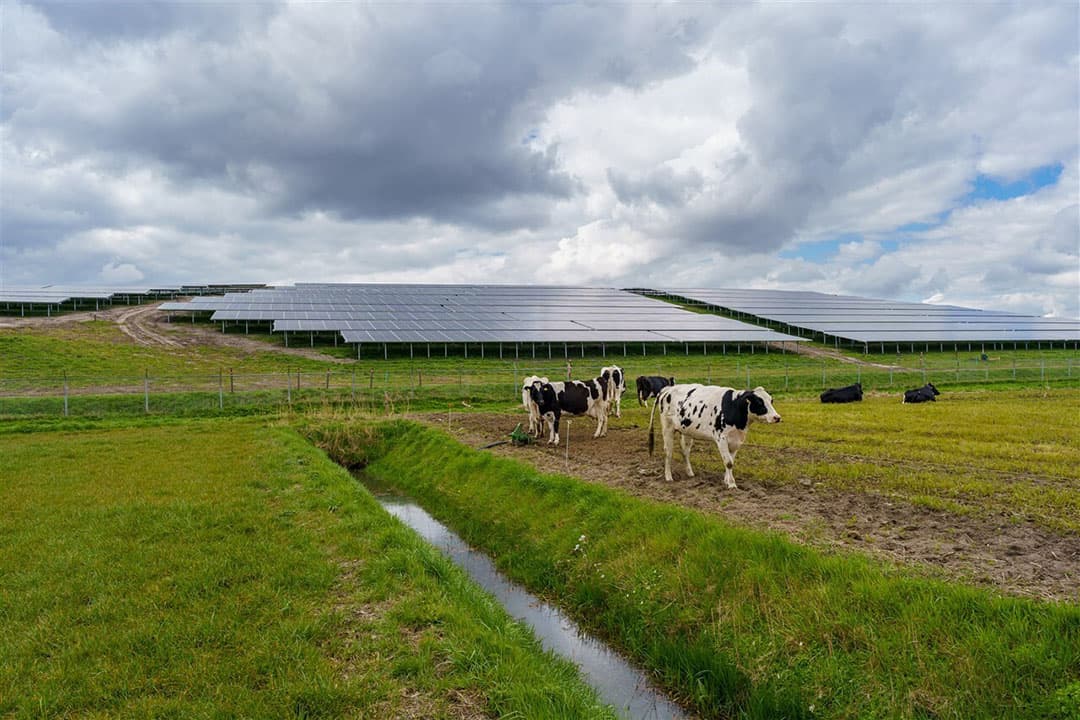 Foto: ANP / Eugene Winthagen