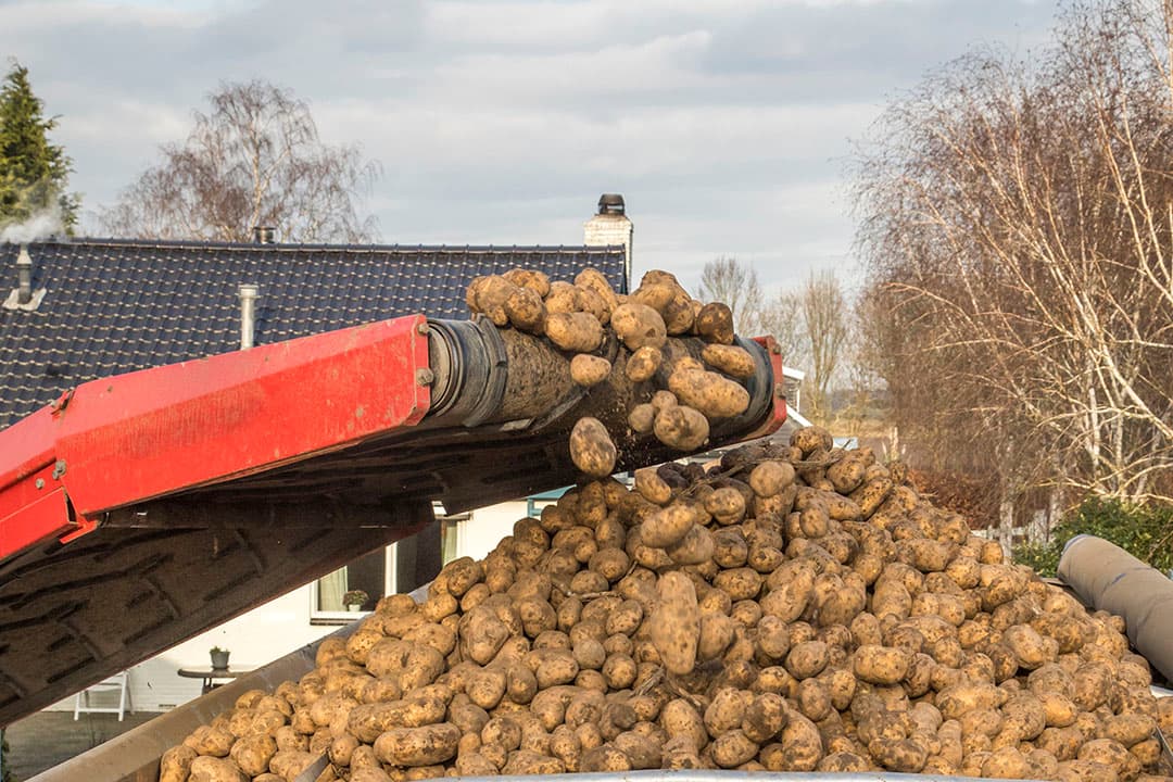 Foto: Koos Groenewold