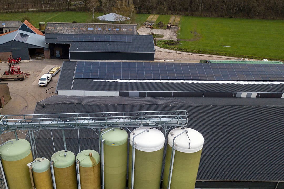 Een varkensbedrijf met zonnepanelen op het dak. Bedrijven met energiekosten die meer dan 12,5% van de omzet zijn, kunnen hiervoor compensatie krijgen. - Foto: Bert Jansen