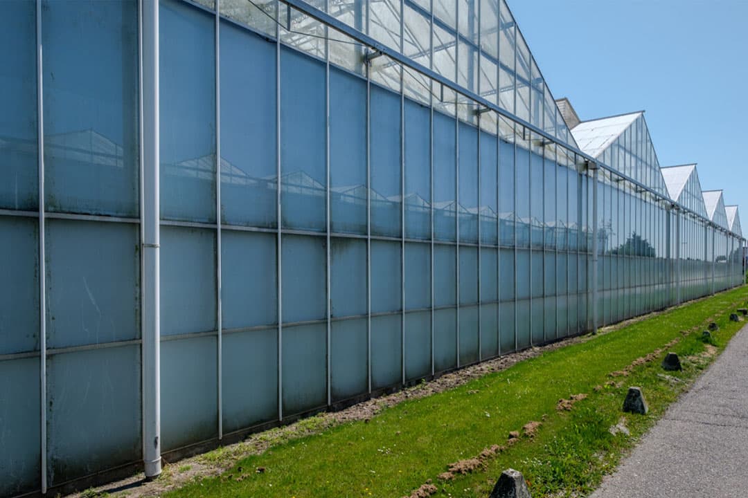 De energiesteun is onder andere bedoeld voor tuinders: relatief kleine ondernemingen die veel gas en/of elektriciteit gebruiken. -Foto: Canva
