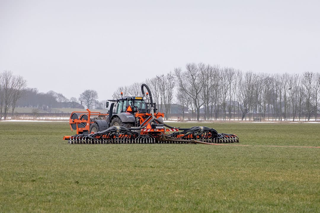 Foto: Koos van der Spek