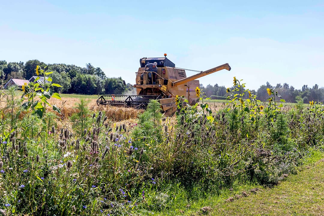 De eerste aanmelding voor deelname aan het nieuwe GLB gaat boeren flink tijd kosten. - Foto: Koos van der Spek