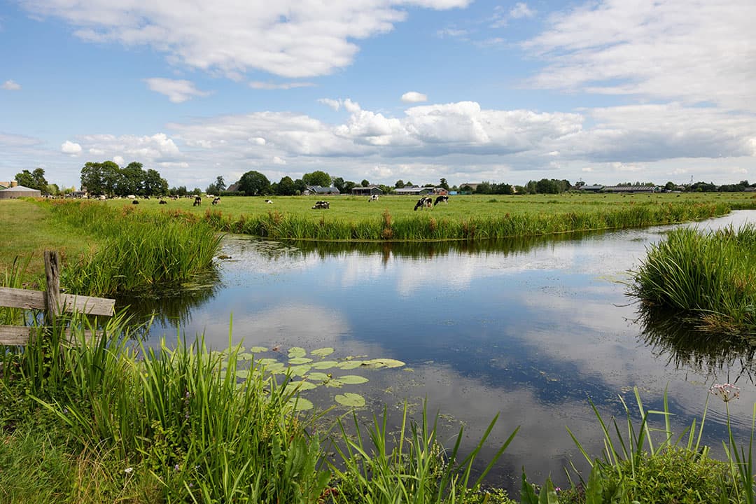 De Kamer wil periodiek inzicht in de ‘staat van het Nederlandse landschap’, mede vanwege de verruimde mogelijkheden om ruimtelijke activiteiten vergunningsvrij uit te voeren.  -Foto: Herbert Wiggerman