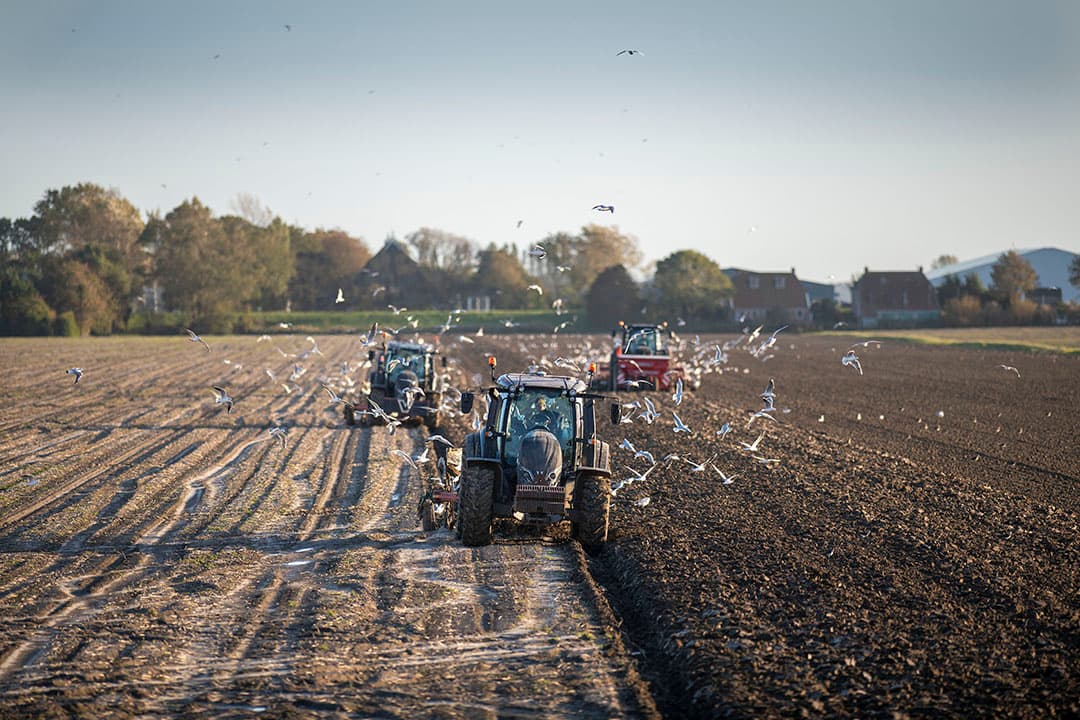Kamerleden van ChristenUnie, BBB en SGP vroegen de minister wederom om coulance te bieden aan akkerbouwers die al volop met de voorbereidingen van teeltseizoen 2023 bezig zijn. - Foto: Mark Pasveer