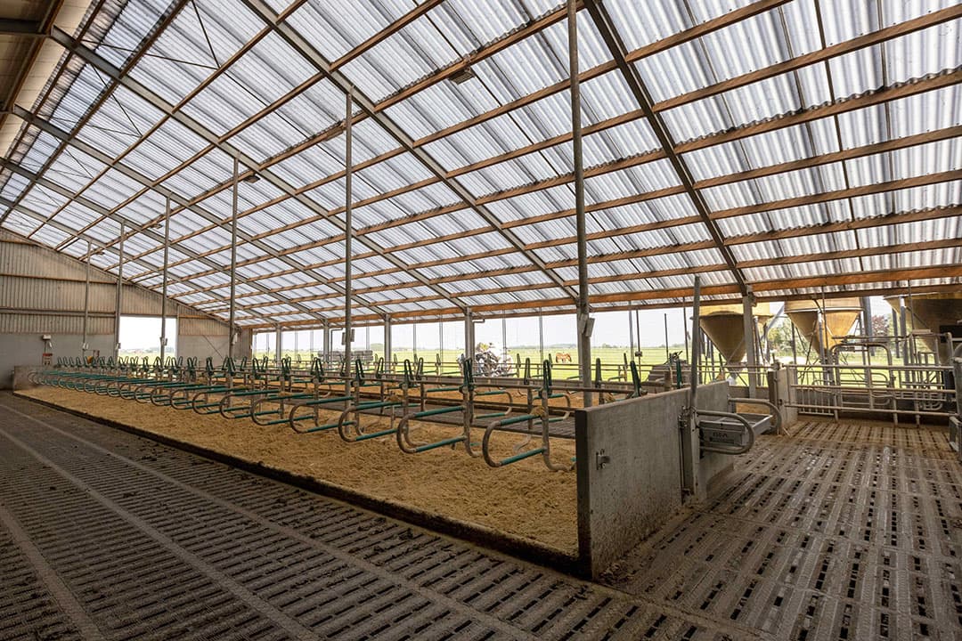 Als een nieuwe stal het dierenwelzijn bevordert, of de emissie vermindert, maakt de kredietaanvraag bij Rabobank meer kans. - Foto: Roel Dijkstra