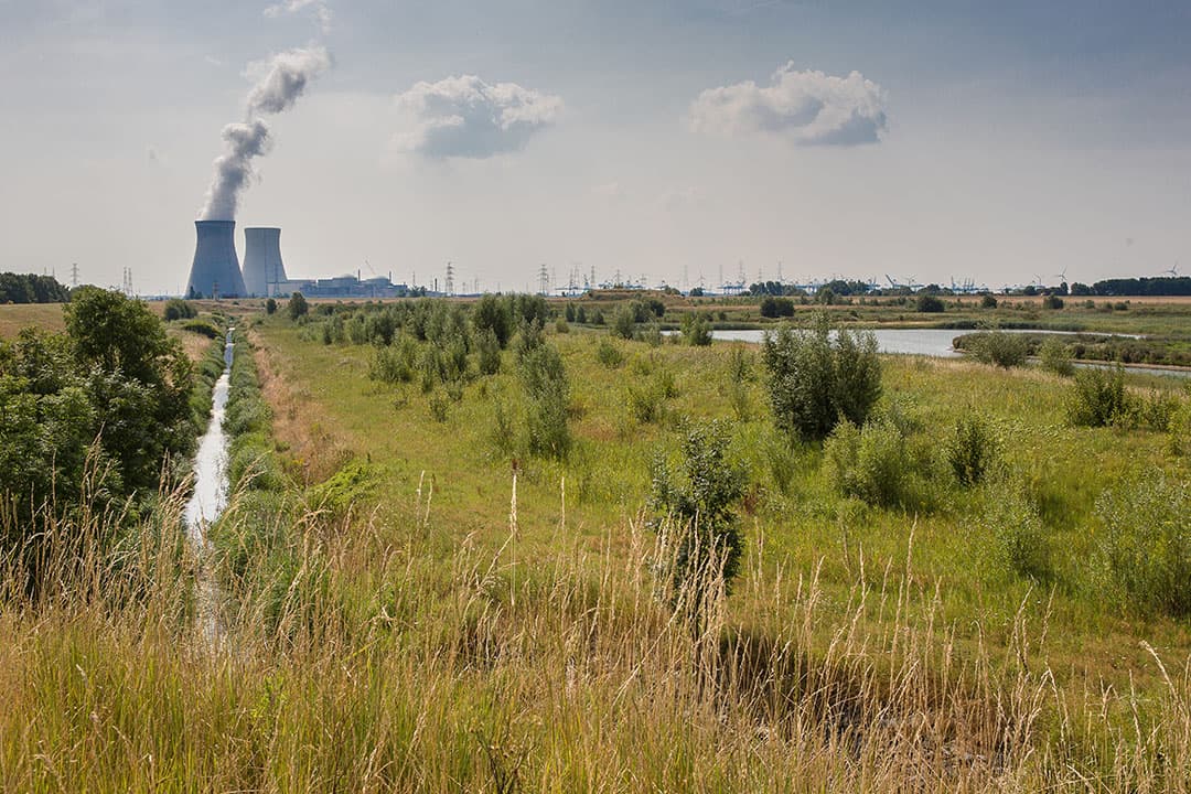Hedwigepolder met op de achtergrond de haven van Antwerpen. - Foto: Peter Roek