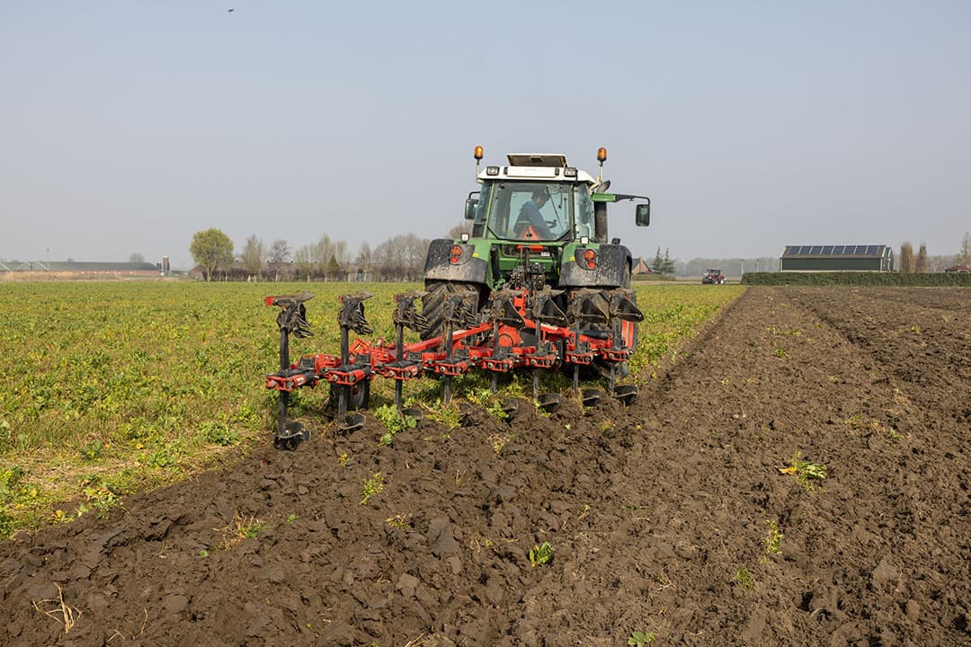 Ecoploegen in West-Brabant. Ecoploegen is weliswaar kerend, maar wordt gerekend onder gereduceerde grondbewerking.  Een eventueel effect op koolstofvastlegging is ondergeschikt aan andere voordelen. - Foto: Peter Roek