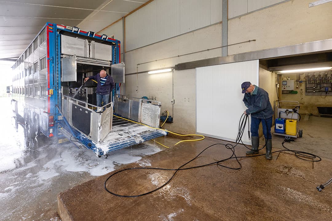 wasplaats op varkensbedrijven