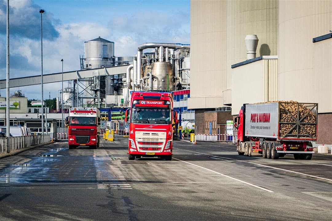 Begin van de bietencampagne bij Cosun Beet Company in Hoogkerk. - Foto: ANP