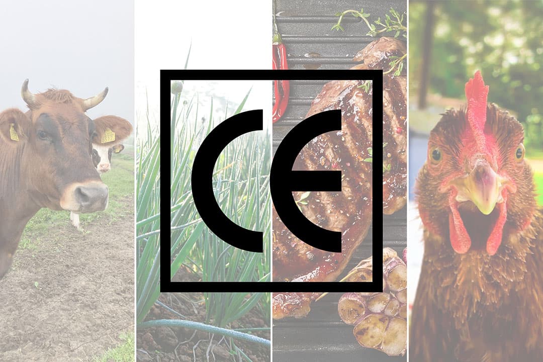 De CE-markering die op veel producten staat geeft aan dat het product voldoet aan de daarvoor geldende regels binnen de Europese Unie plus de landen Zwitserland, Liechtenstein, Noorwegen en IJsland. CE staat hierbij voor Conformité Européenne. - Afbeeldingen Canva