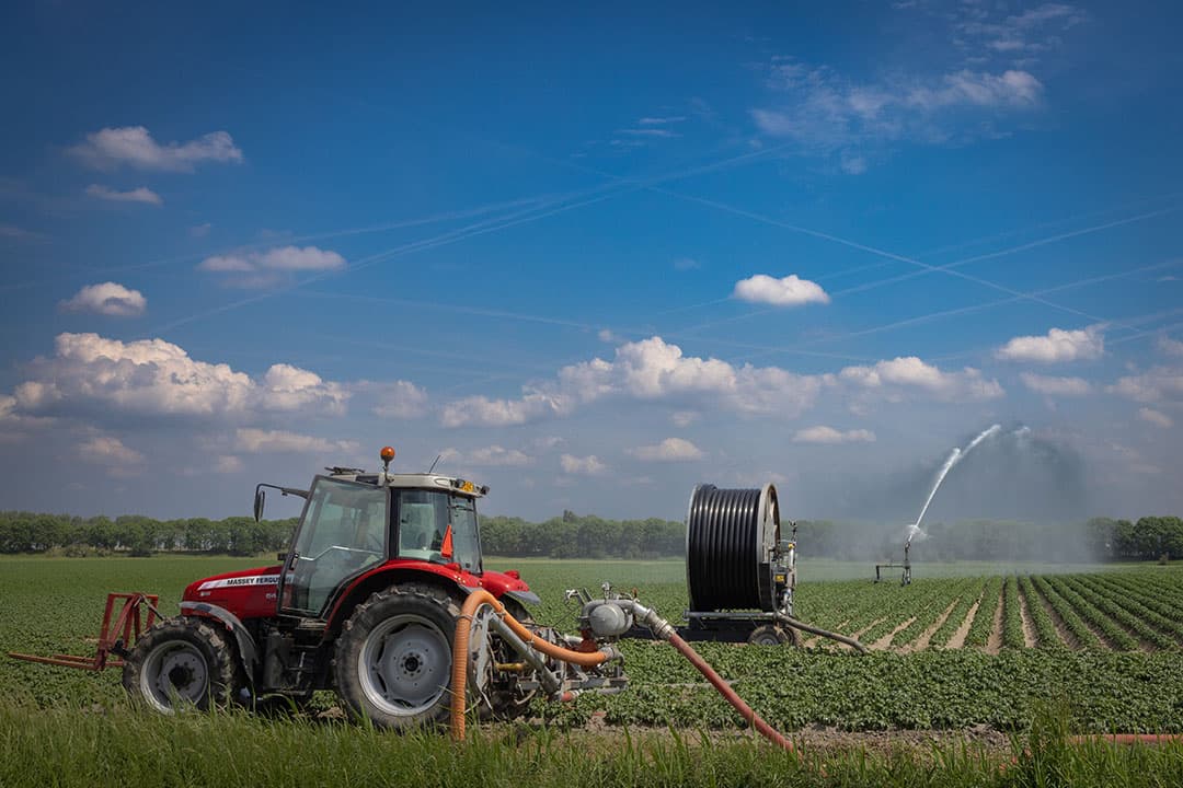 Kunnen we zo’n paradox ook in de akkerbouw verwachten? Denk aan de enorme run op beregeningsinstallaties waardoor de zoetwaterbellen leeg raken en het zoute water als een ondergrondse tsunami landinwaarts sluipt. – Foto: Peter Roek