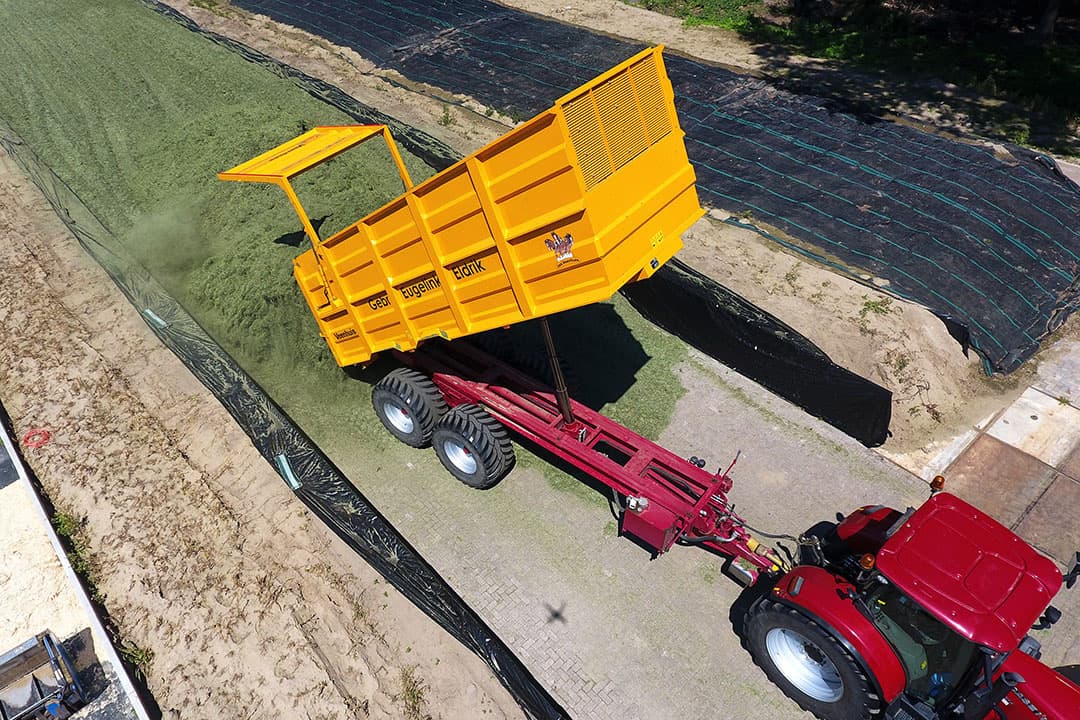De gemiddelde voederwaarde van de zomerkuilen is erg goed, zeker in vergelijking met vorig jaar. - Foto: Henk Riswick