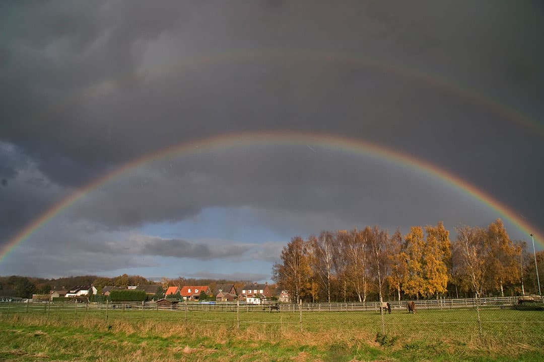 Wellerlooi, Noord-Limburg. In deze regio kunnen zes paardenbedrijven nu een Nb-vergunning krijgen dankzij stikstof uit de stikstofbank, afkomstig van stoppende varkenshouders. - Foto: ANP