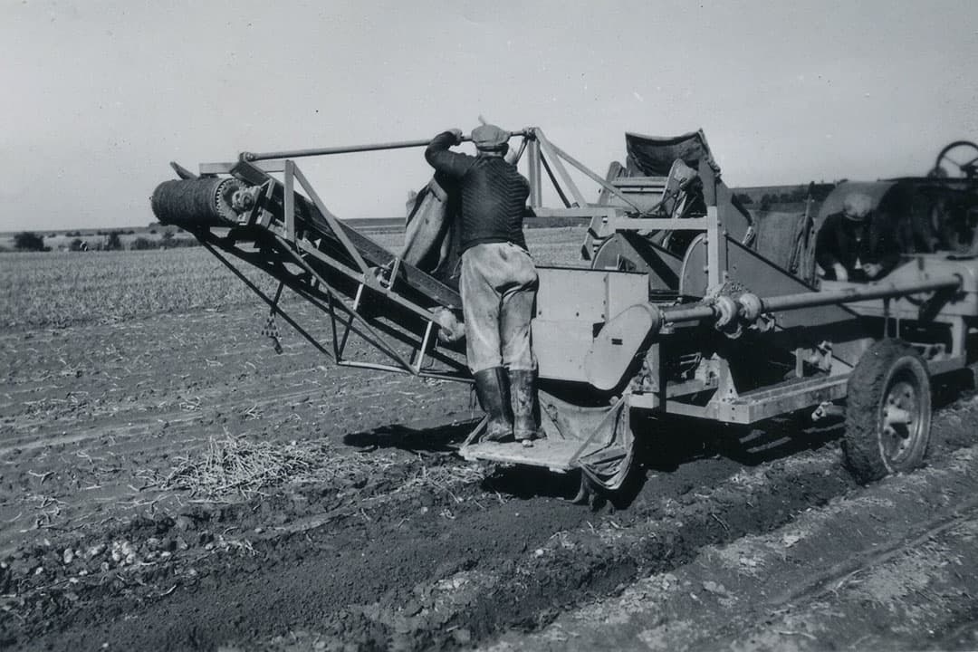 De eerste mechanische rooiers gingen niet snel. Met 2 km/uur was het wel gebeurd, maar ze spaarden enorm veel arbeid uit. Vooral daar zat hem destijds de winst.  Per are haalden ze tussen de 350 en 400 kilo piepers omhoog. - Foto: Misset