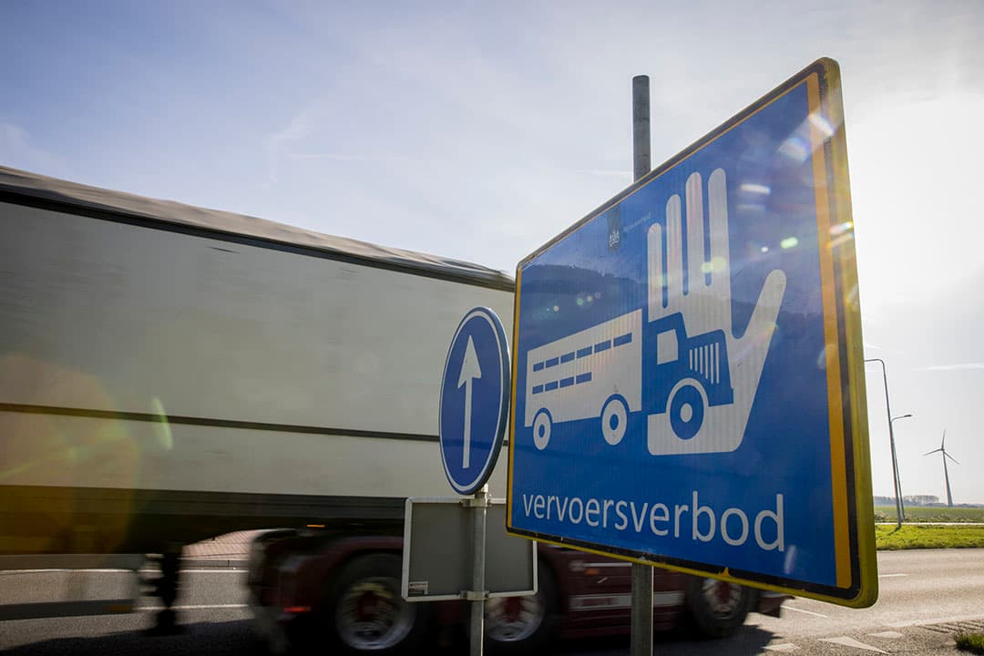 Foto: Koos Groenewold
