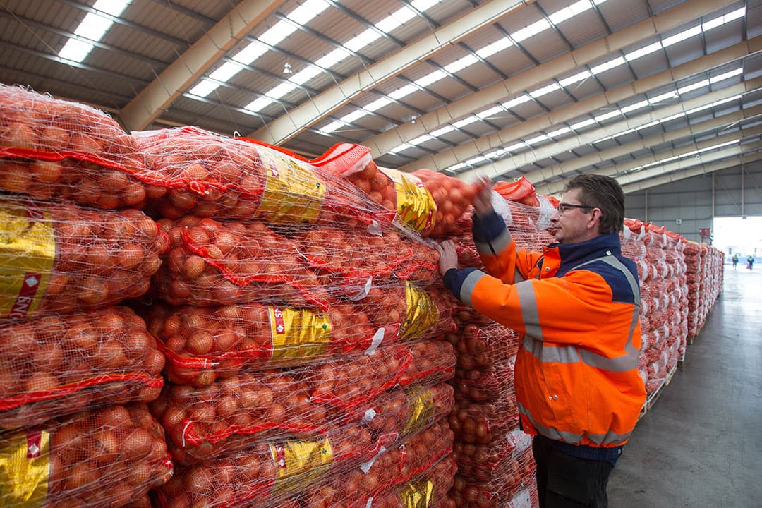Uien voor export naar Senegal. - Foto: Peter Roek