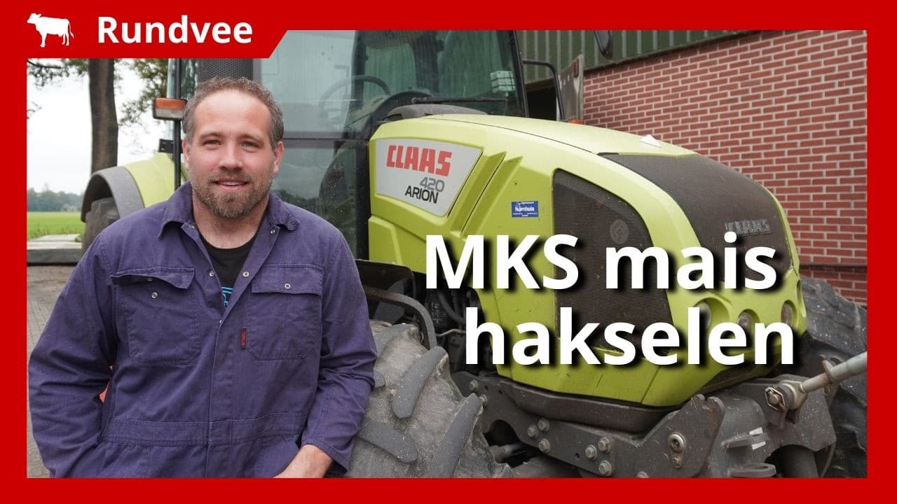 Video | MKS mais hakselen in Almen