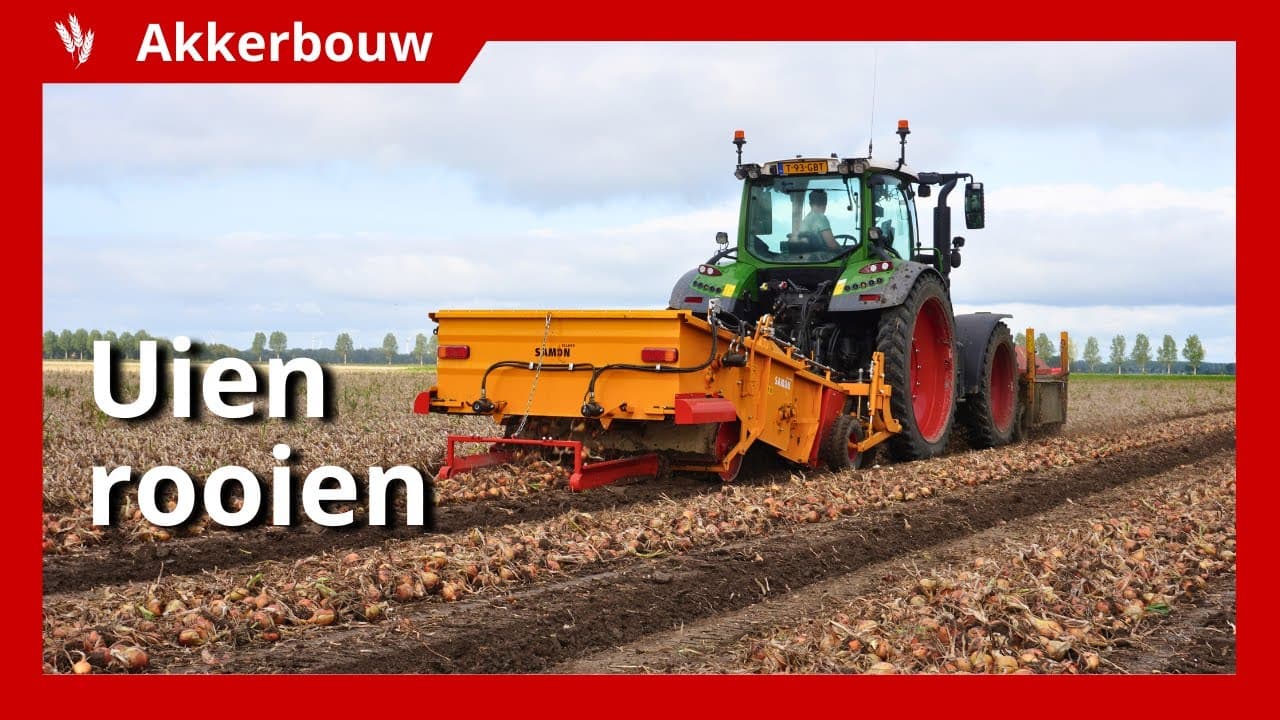 Video | 8 hectare uien rooien
