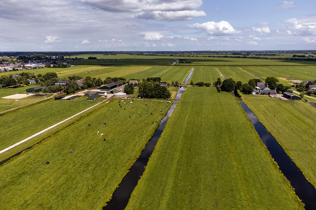De acht melkveehouders van polder Lange Ruige Weide werken samen met het waterschap en beheren zelf het polderpeil. Ze mogen het peil maximaal 13 centimeter verhogen. - Foto: Herbert Wiggerman