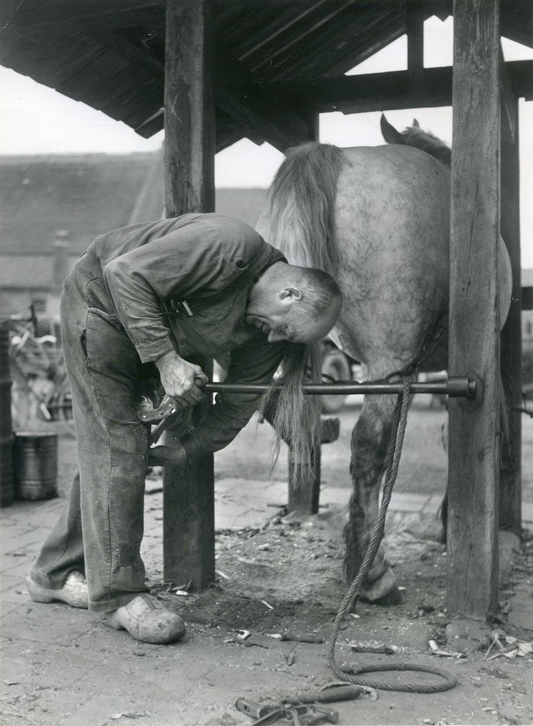 Vroeger ging men met het paard naar de smid en niet andersom. Dorpssmeden waren veelzijdig. Ze maakten bijvoorbeeld ook beslag voor wagenwielen en werktuigen. Om paarden te kunnen beslaan, volgden ze vaak een aparte opleiding. Zo’n smid had dan een bord op de gevel hangen met de tekst dat hij Rijksgediplomeerd was. - Foto: Misset