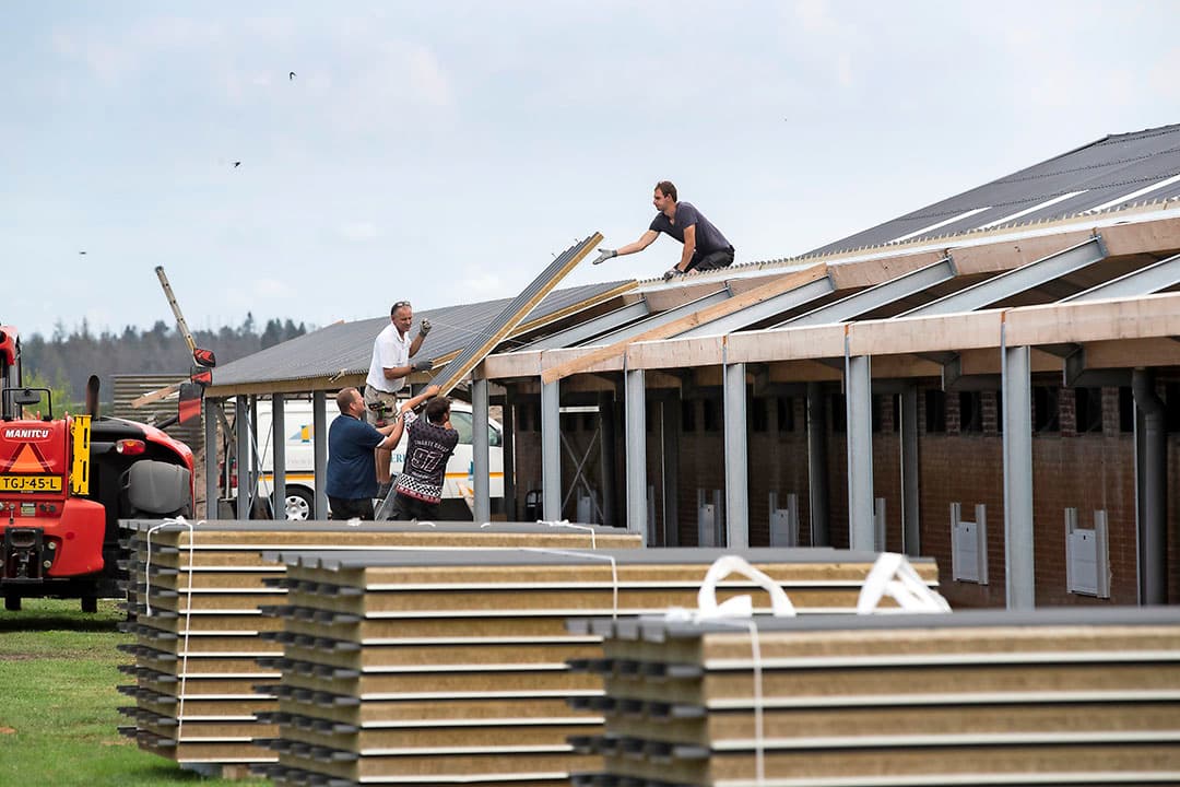 Maatschap Feijen bouwt in Zwiggelte aan een overdekte uitloop. Medio augustus zijn 383 vleeskuikenbedrijven goedgekeurd/gecertificeerd voor het Beter Leven-keurmerk. - Foto: Hans Banus