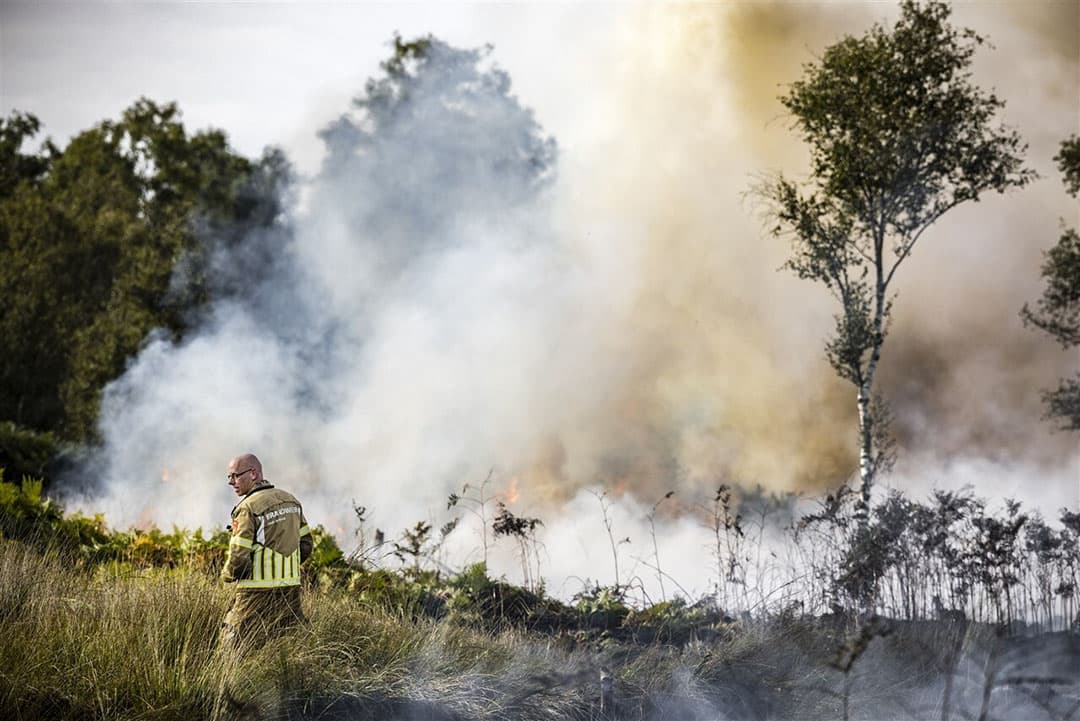 Brandweer in actie tijdens een grote brand in natuurgebied De Peel. De omvang van de brand bedraagt ongeveer 2 hectare.  - Foto: ANP
