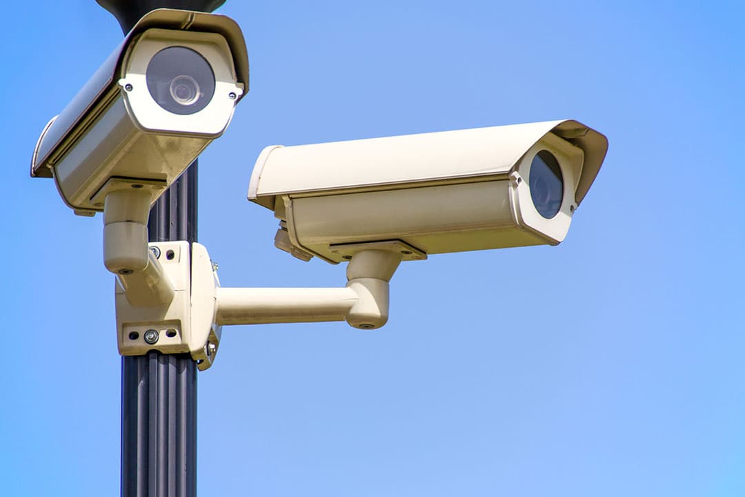 Het cameratoezicht wordt niet verplicht voor kleinschalige slachthuizen of verzamelcentra. - Foto: Canva