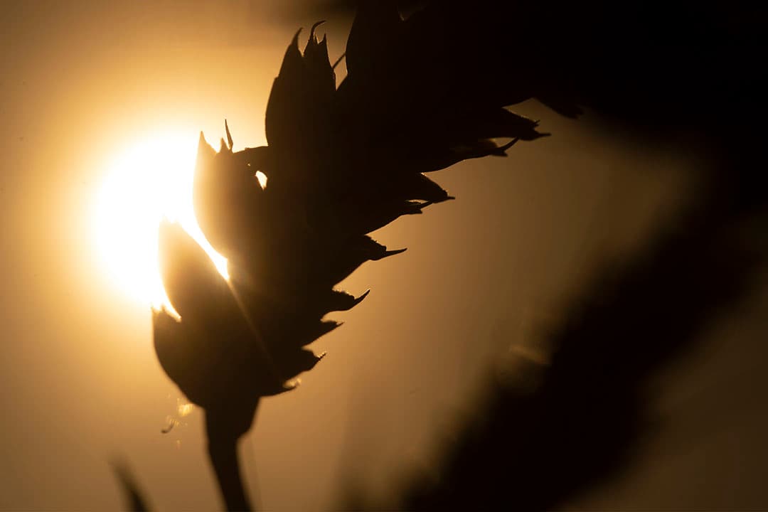 Foto: Twan Wiermans