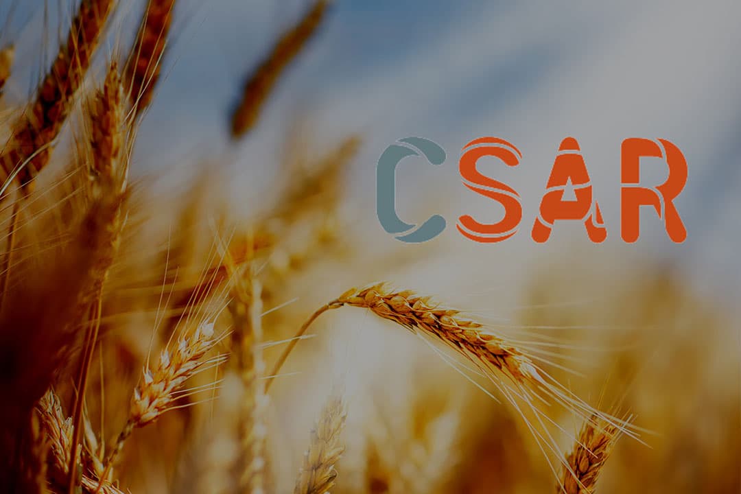 Foto: Canva en CSAR, bewerking Misset