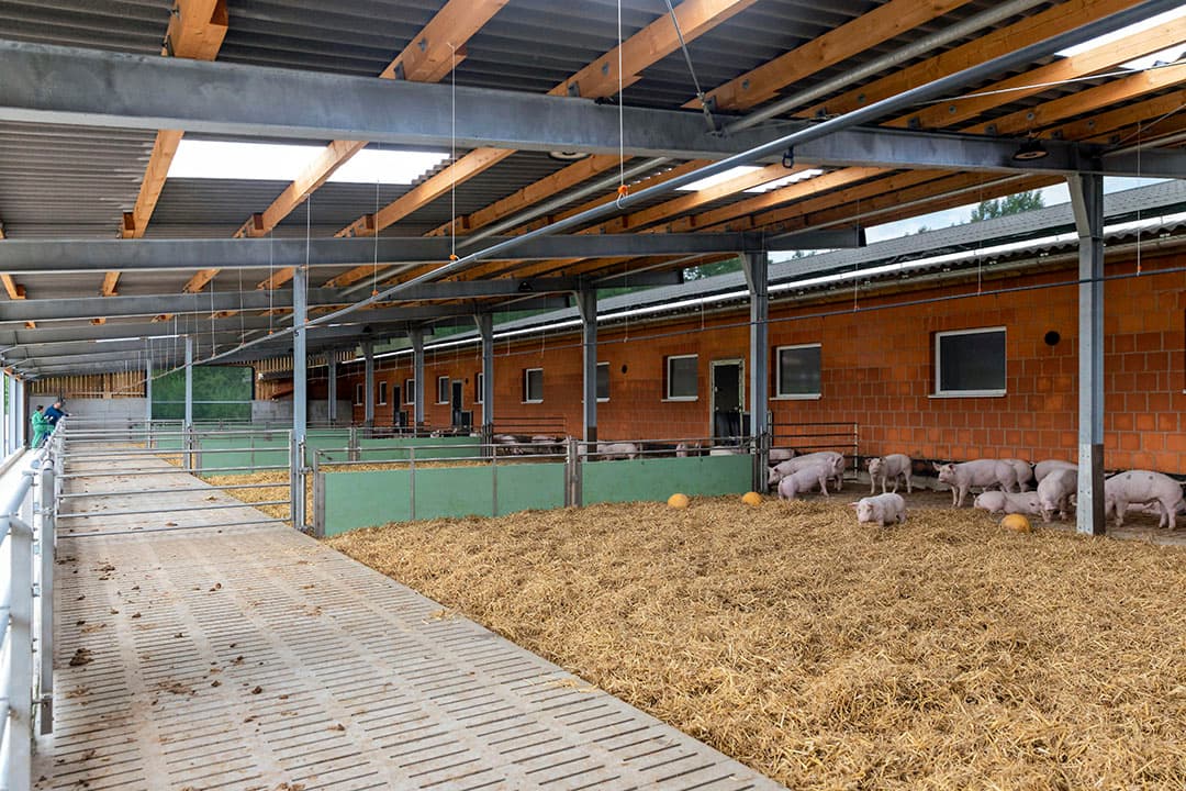 ITW-3 eist een uitloop met een dunne laag stro. In dit geval is gekozen voor een uitloop met potstal. - Foto's: Koos Groenewold