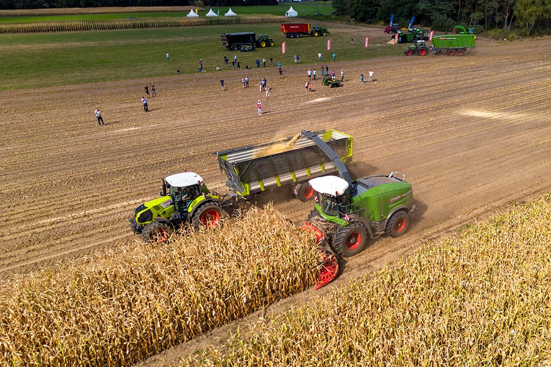 Op de maisdag op 6 september werd mais gehakseld op een onberegend perceel. Door de droogte is de maisoogst dit jaar extreem vroeg begonnen. Op zandgrond is al heel veel mais binnengehaald. - Foto's: Koos Groenewold