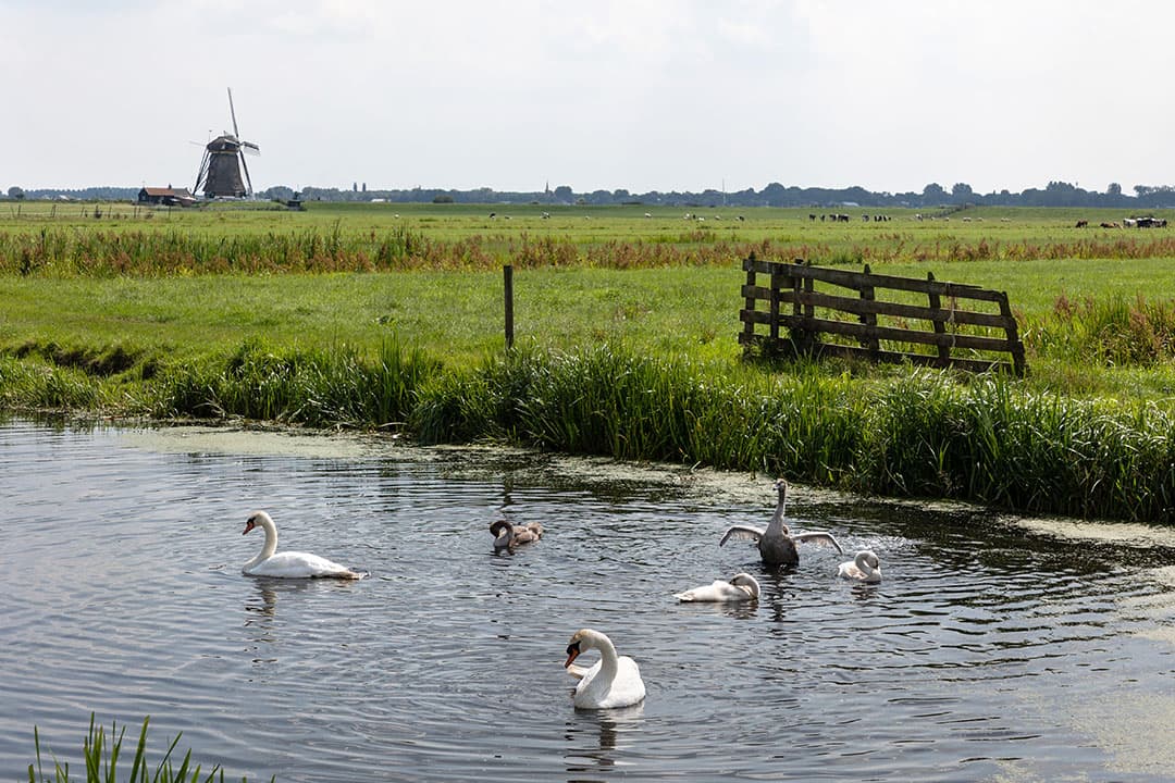 De biologische kwaliteit van oppervlaktewater is een van de indicatoren voor de eisen van de Kaderrichtlijn Water. - Herbert Wiggerman