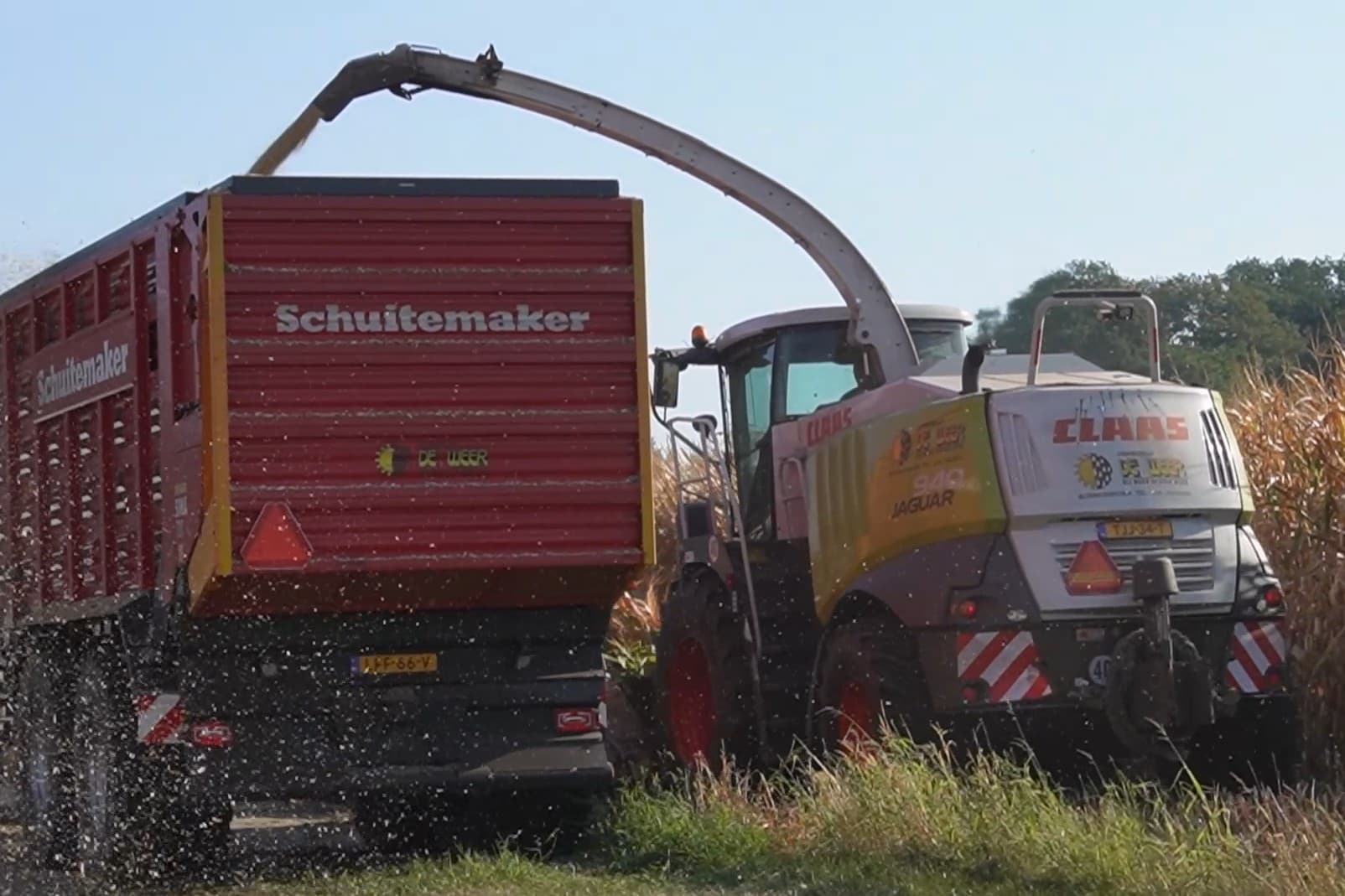 Oogst volvelds mais. - Foto: Hessel Broekhuis