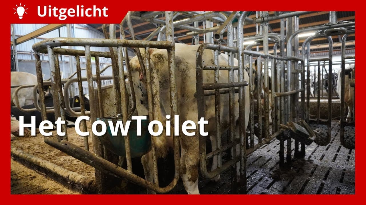 Uitgelicht | Zo werkt het CowToilet