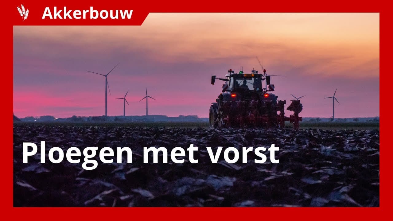 Ploegen met vorst