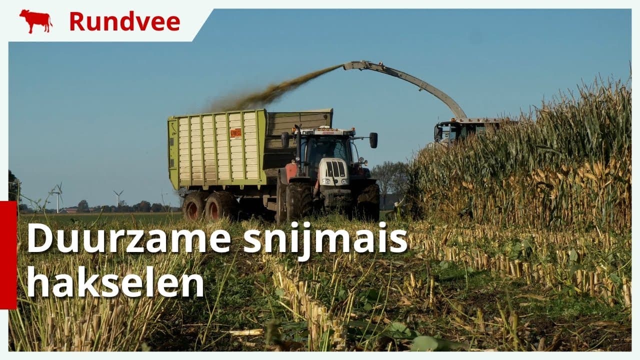 Duurzame snijmais hakselen