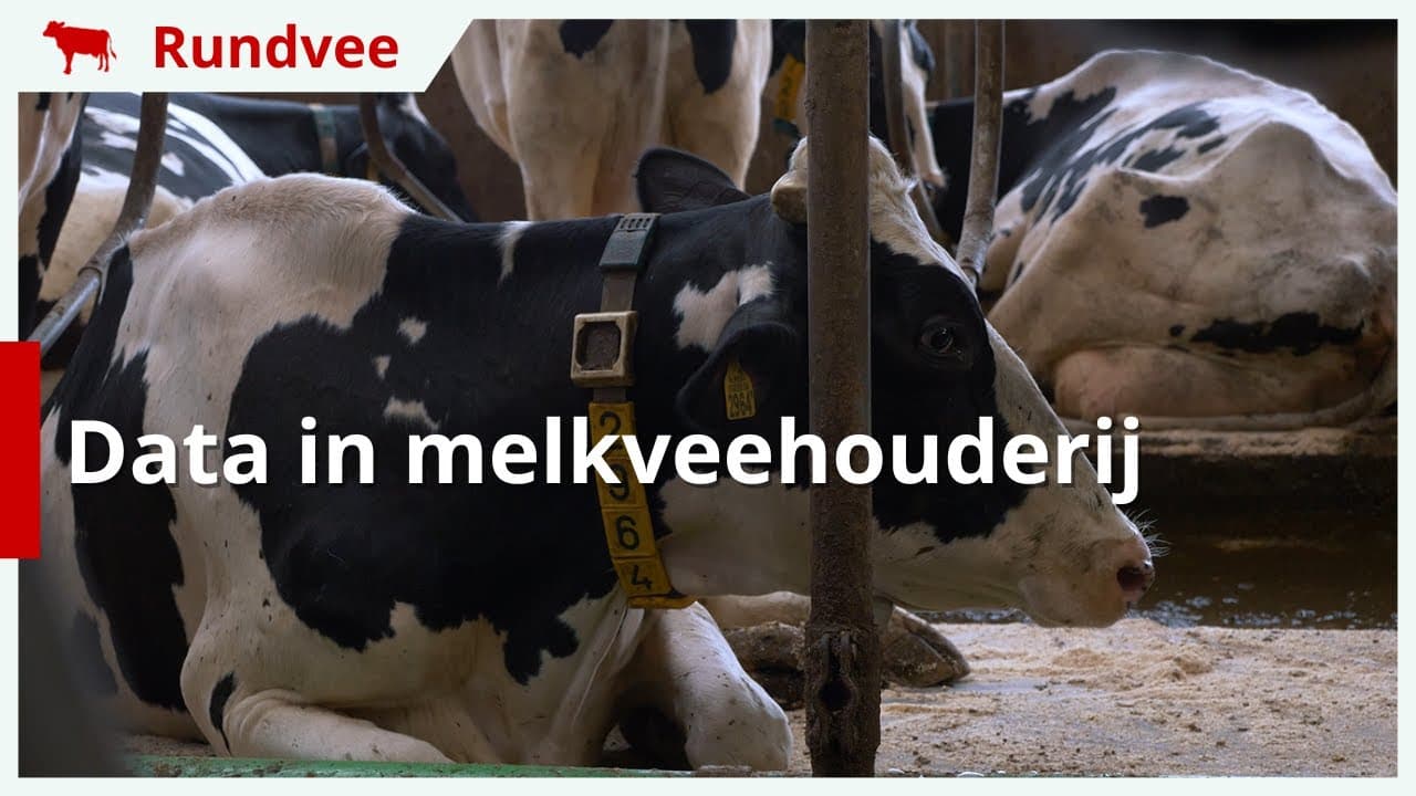Data in de melkveehouderij