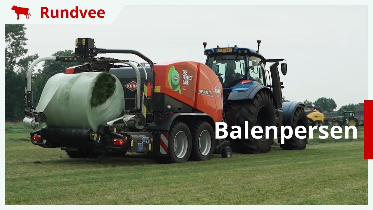 Balenpersen in actie