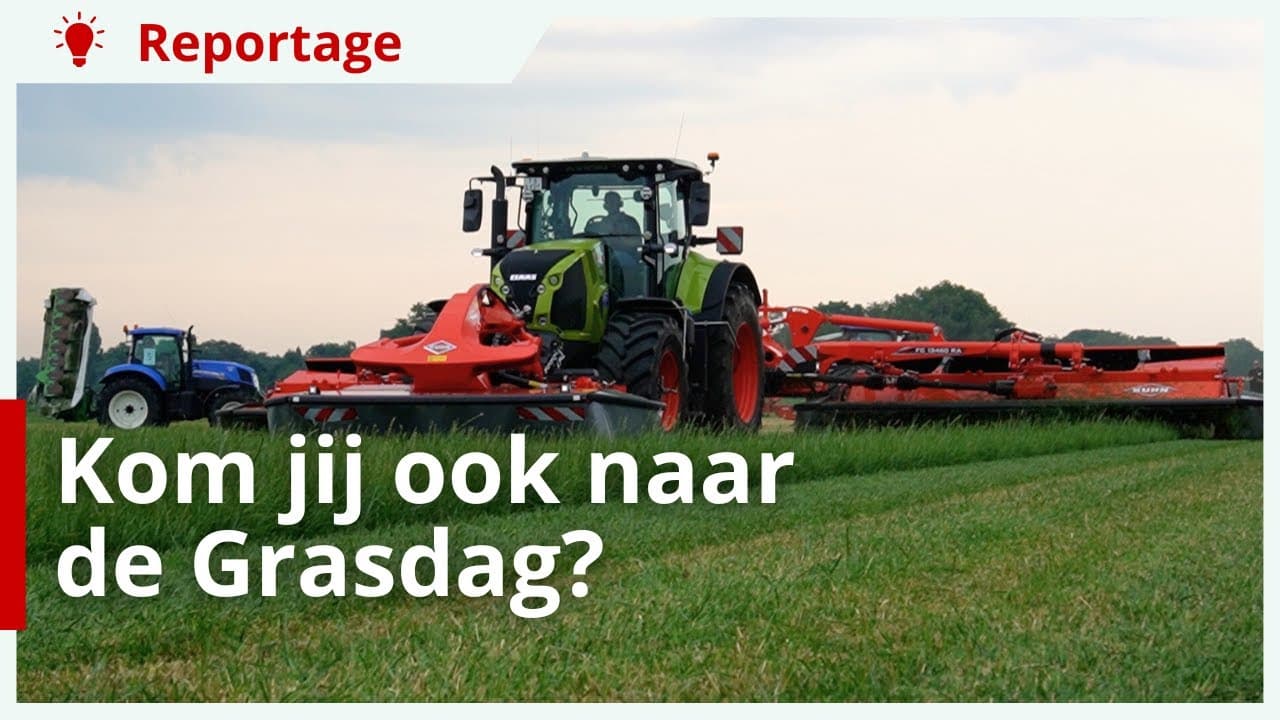 Kom naar de Grasdag