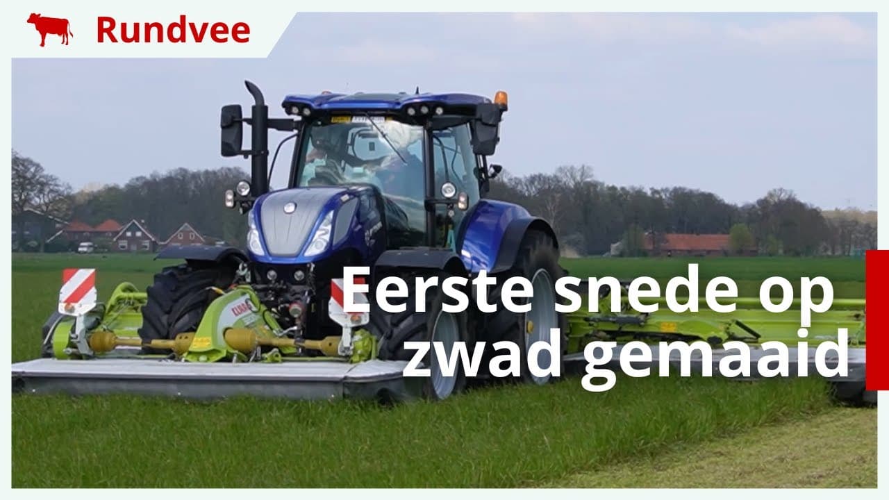 Eerste snede gras op zwad gemaaid