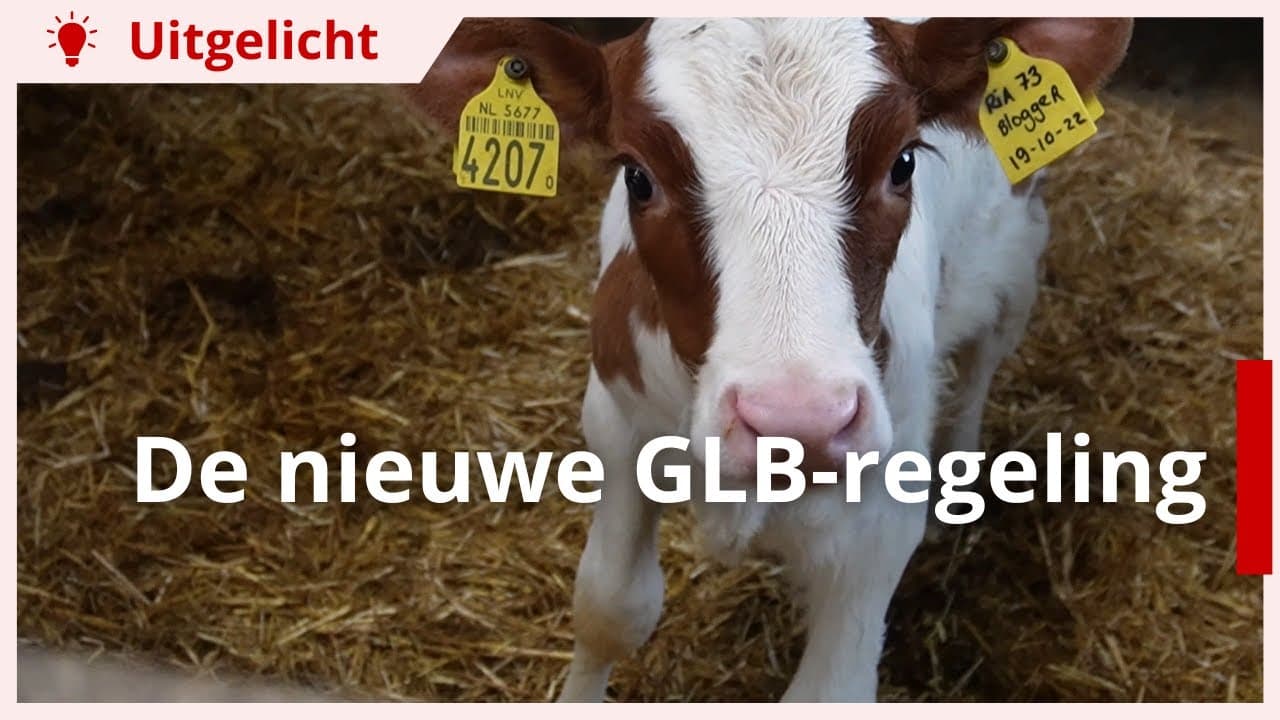 Uitgelicht | Nieuwe GLB-regeling