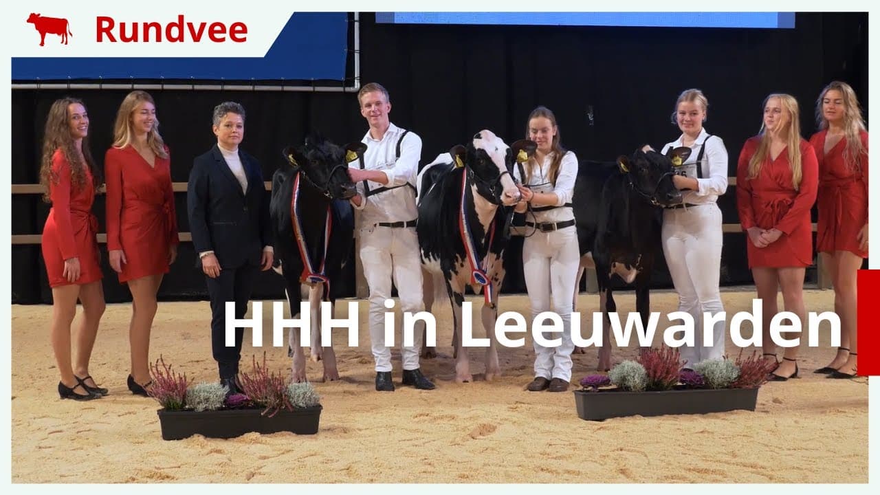 Video | Holland Holstein Show