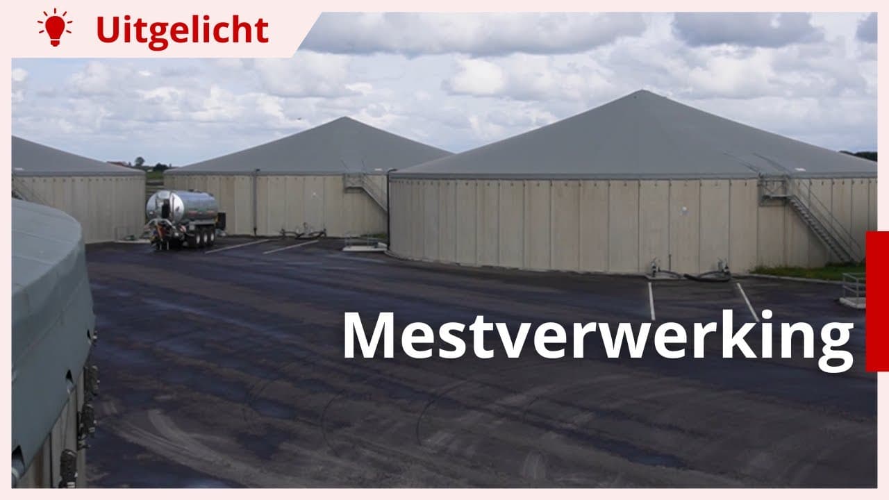 Uitgelicht | Mestverwerking