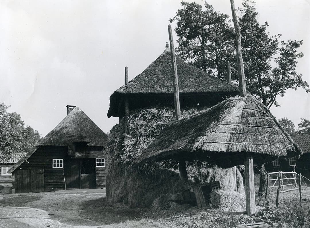 Vroeger stonden ze overal. Maar in de jaren ’60 van de vorige eeuw vond men hooibergen maar sta-in-de-weg dingen. Hooiwinning had plaatsgemaakt voor kuilgras, wat moest je er dan nog mee? Vele werden gesloopt of tot kachelhout verzaagd. - Foto: Misset
