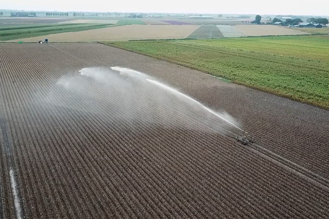 Foto: Peter Roek