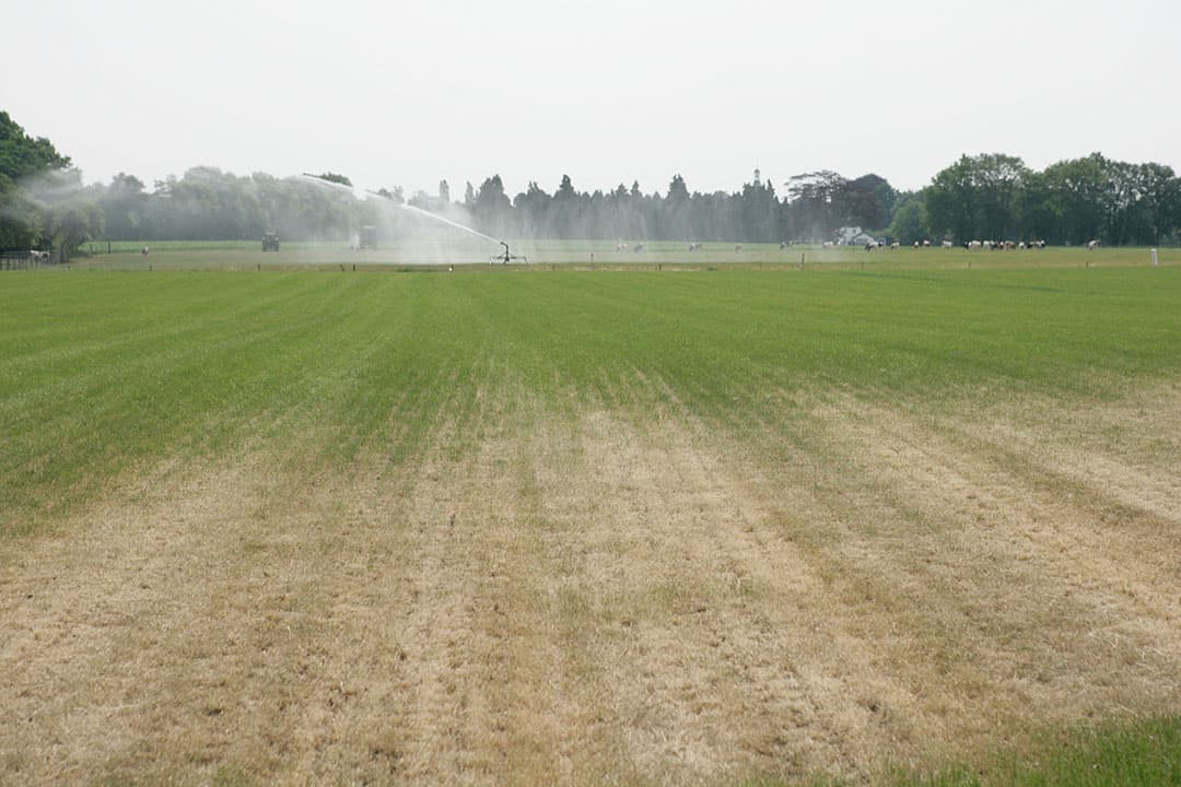 Foto: Jan Willem Schouten