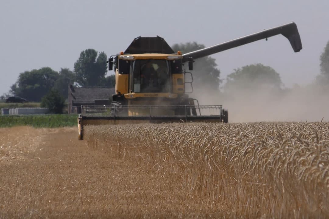 Foto: Peter Roek