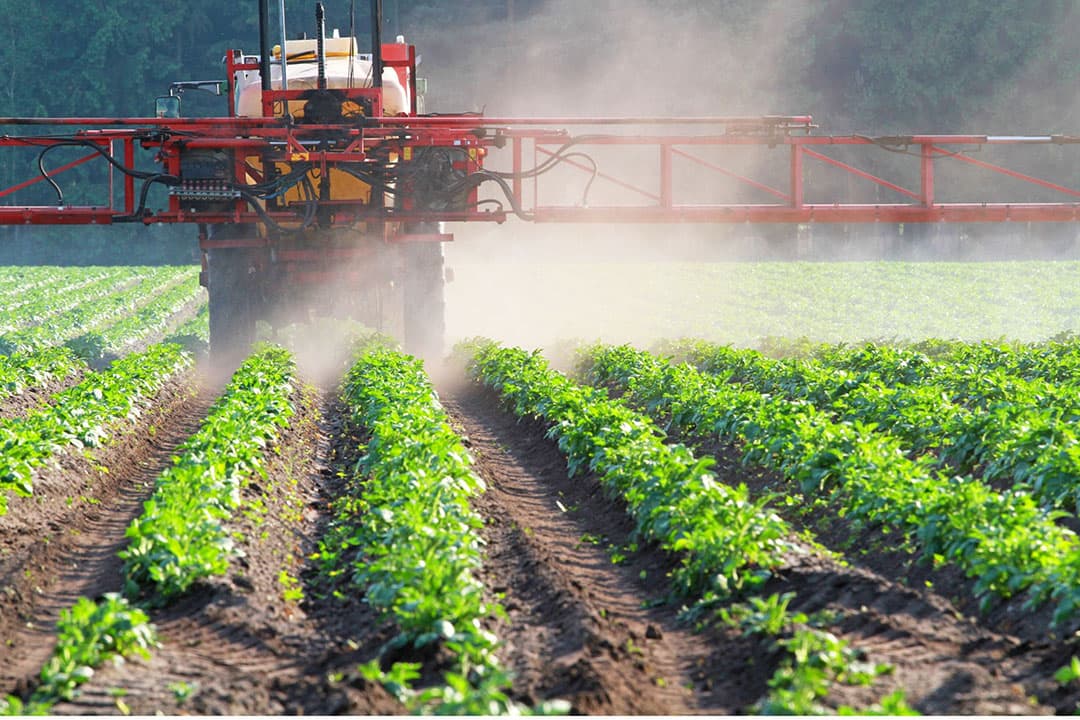 Er wordt een toename van handel in illegale gewasbeschermingsmiddelen specifiek in het zuiden van Europa en het Zwarte Zee-gebied gesignaleerd. Foto: Canva/Canetti