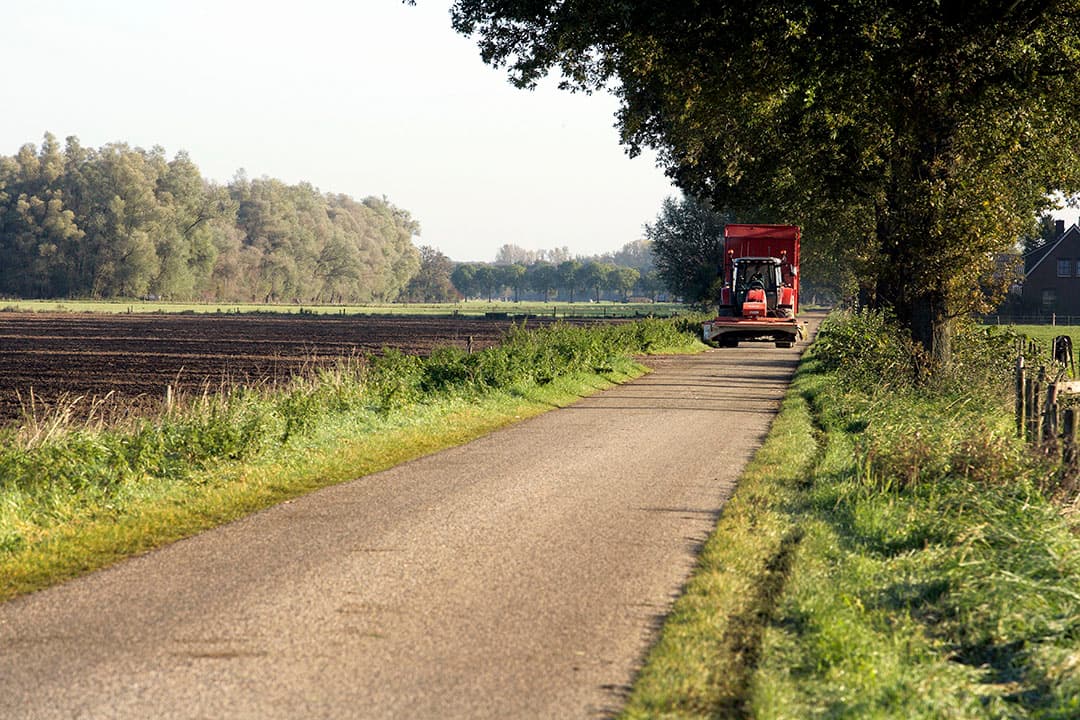 Foto: Henk Riswick