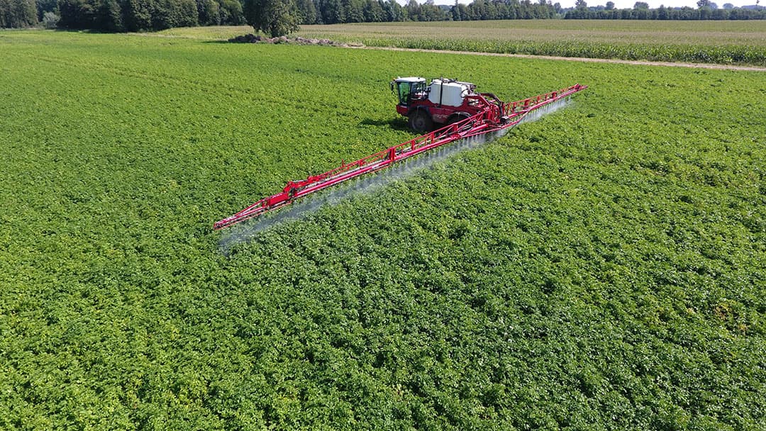Spuiten van fritesaardappelen met een kiemremmer. - Foto: Henk Riswick
